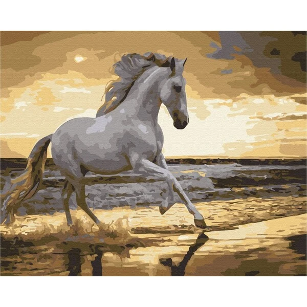 Pictură pe numere 40x50 cm (fără cutie)  - trapând pe coastă 3