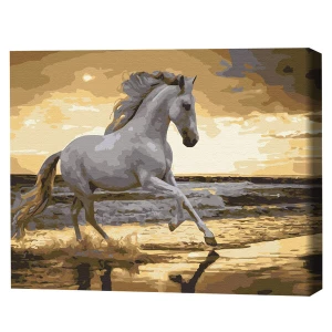 Pictură pe numere 40x50 cm (fără cutie)  - trapând pe coastă Thumbnail 2