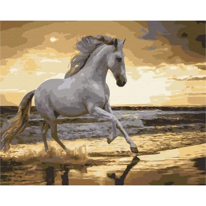Pictură pe numere 40x50 cm (fără cutie)  - trapând pe coastă Thumbnail 4