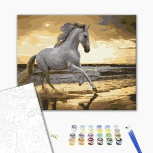 Pictură pe numere 40x50 cm (fără cutie)  - trapând pe coastă Thumbnail 2