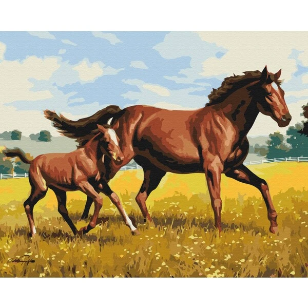 Pictură pe numere 40x50 cm (fără cutie) - galop de familie 2