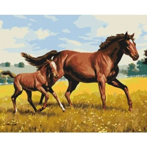 Pictură pe numere 40x50 cm (fără cutie) - galop de familie