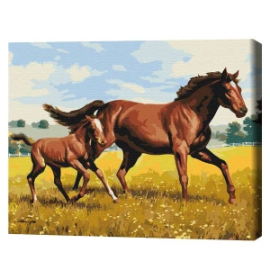 Pictură pe numere 40*50 cm (în cutie) – galop de familie
