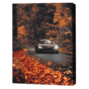 Pictură pe numere 40*50 cm (în cutie) – drum de toamnă