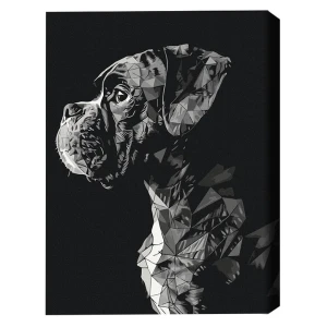 Pictură pe numere 40*50 cm (fără cutie) – paznicul nopții