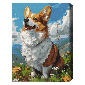 Pictură pe numere 40x50 cm (fără cutie)  –  corgi colorat