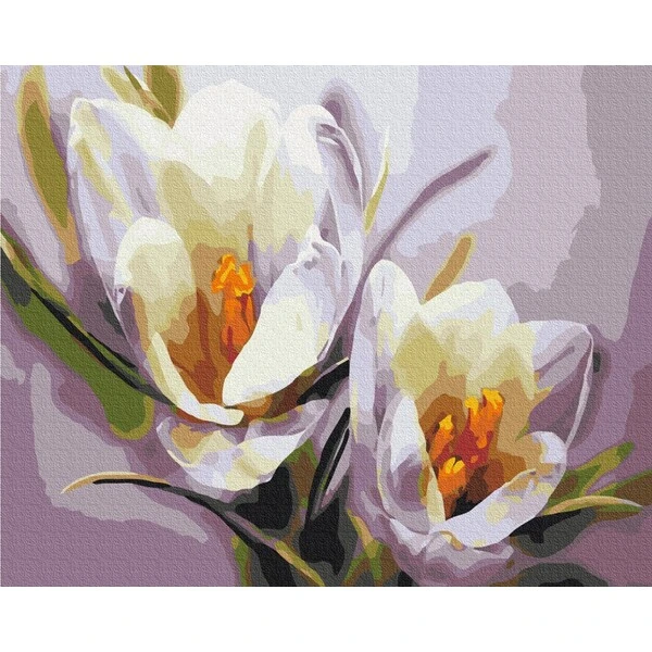 Pictură pe numere 40*50 cm (în cutie) – crocuși 4
