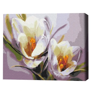 Pictură pe numere 40*50 cm (în cutie) – crocuși