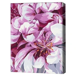 Pictură pe numere 30*40 сm (fără cutie) – floare fotografiată în stil macro