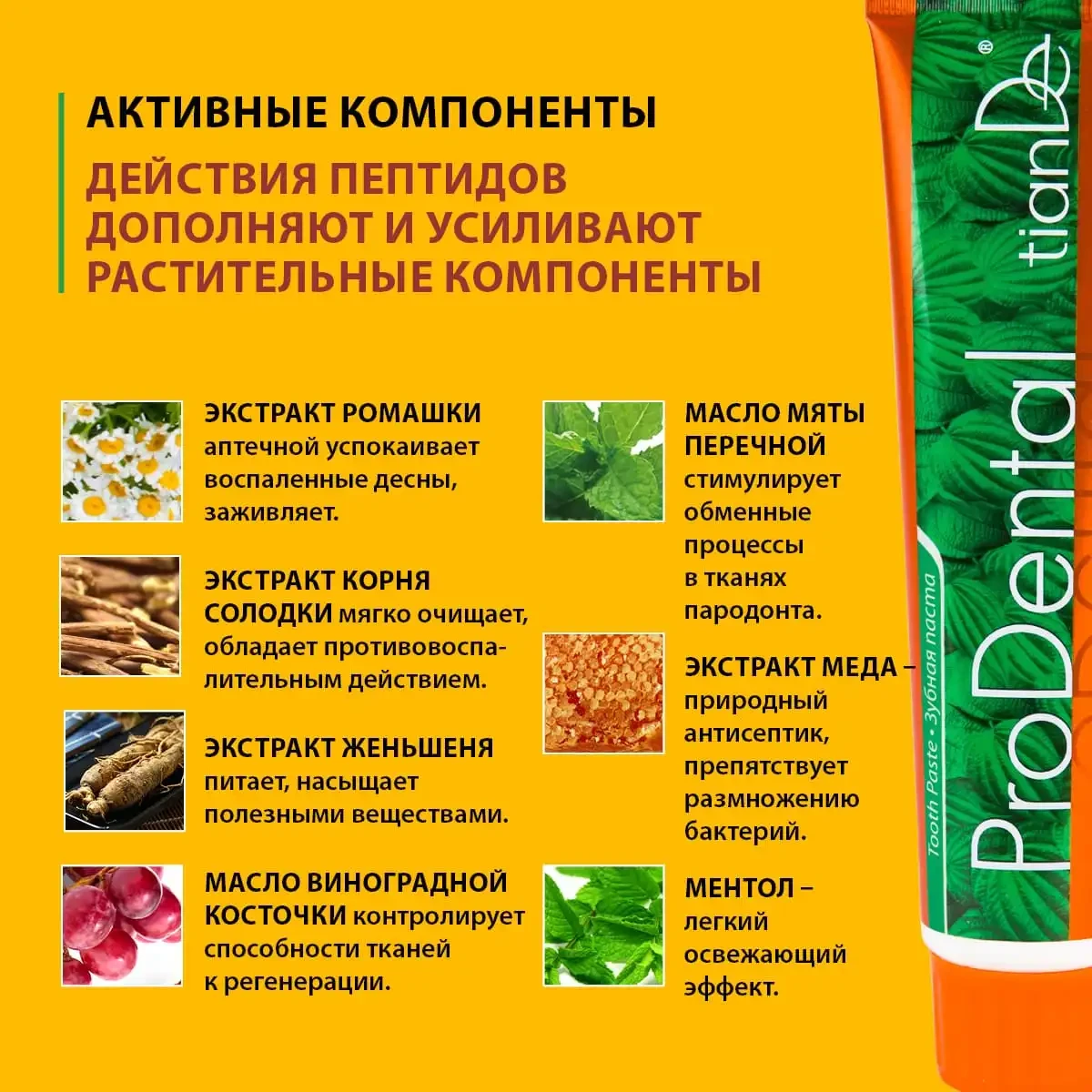 Pastă de dinți „prodental”, 120 g 8