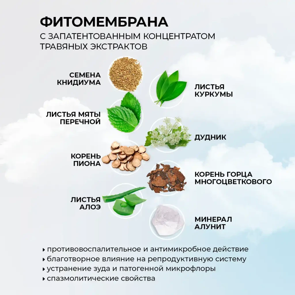 Absorbante pentru zile critice cu fitomembrană „energia plantelor”, 8 buc. 5