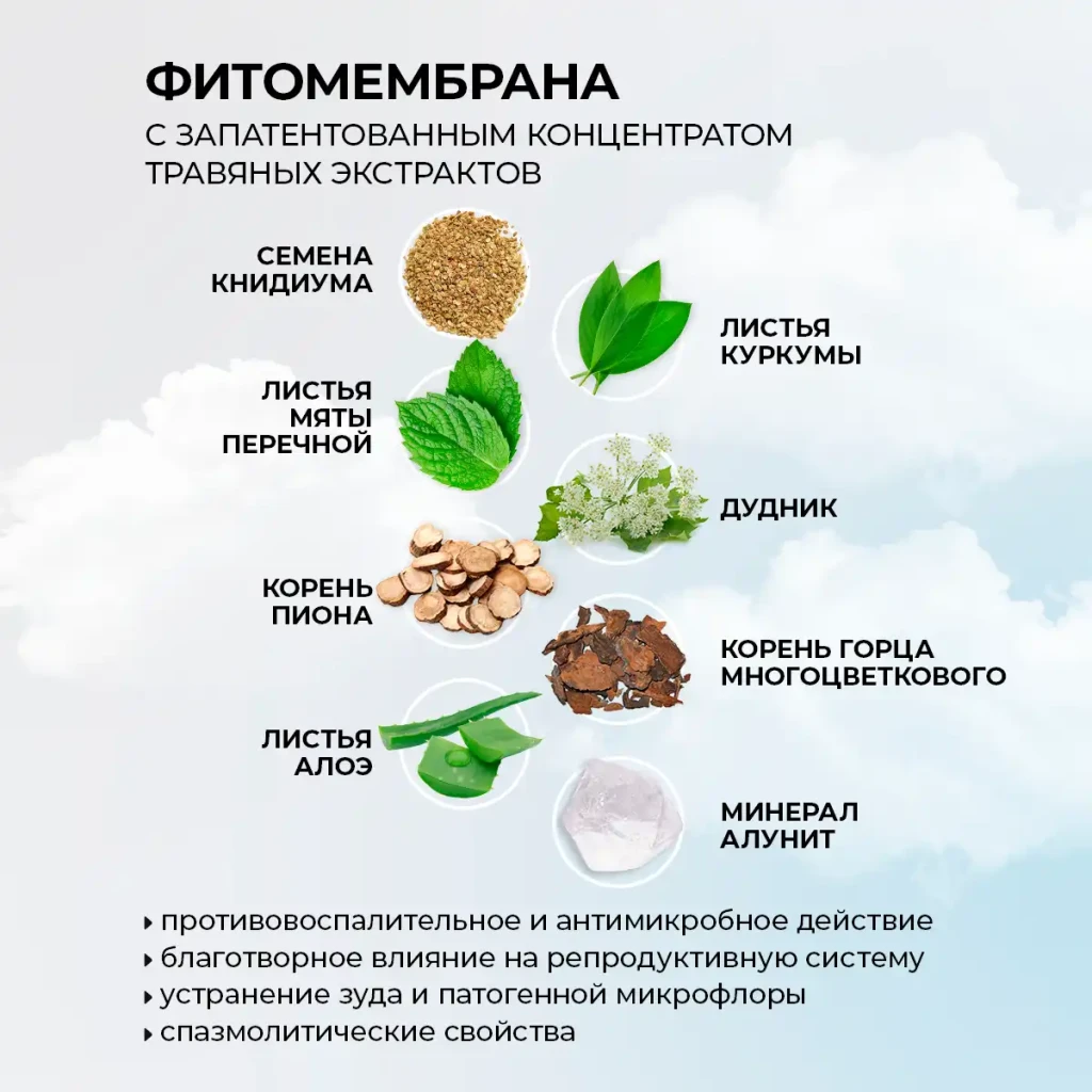 Absorbante pentru nopți critice cu fitomembrană „energia plantelor”, 8 buc. 5