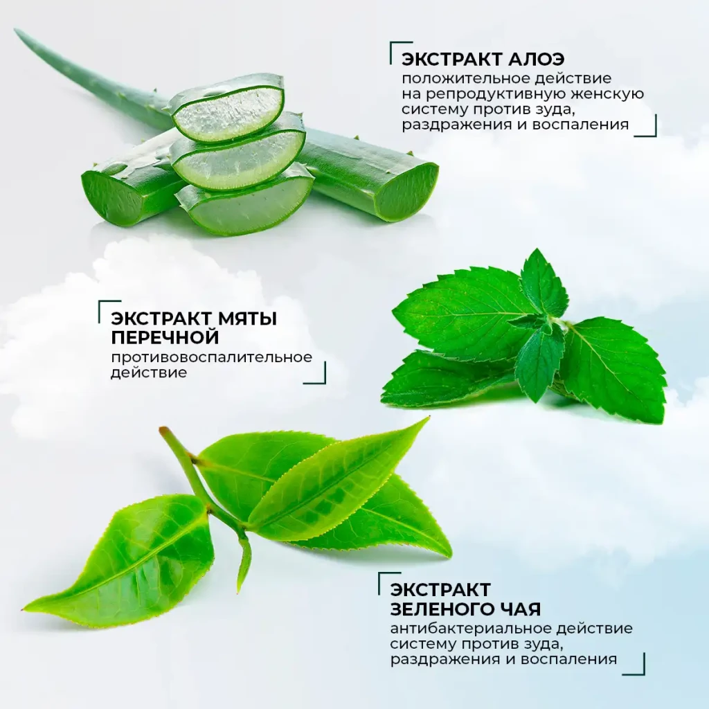 Absorbante zilnice cu extract de aloe „prospețime de nefrite”, 20 buc. 6