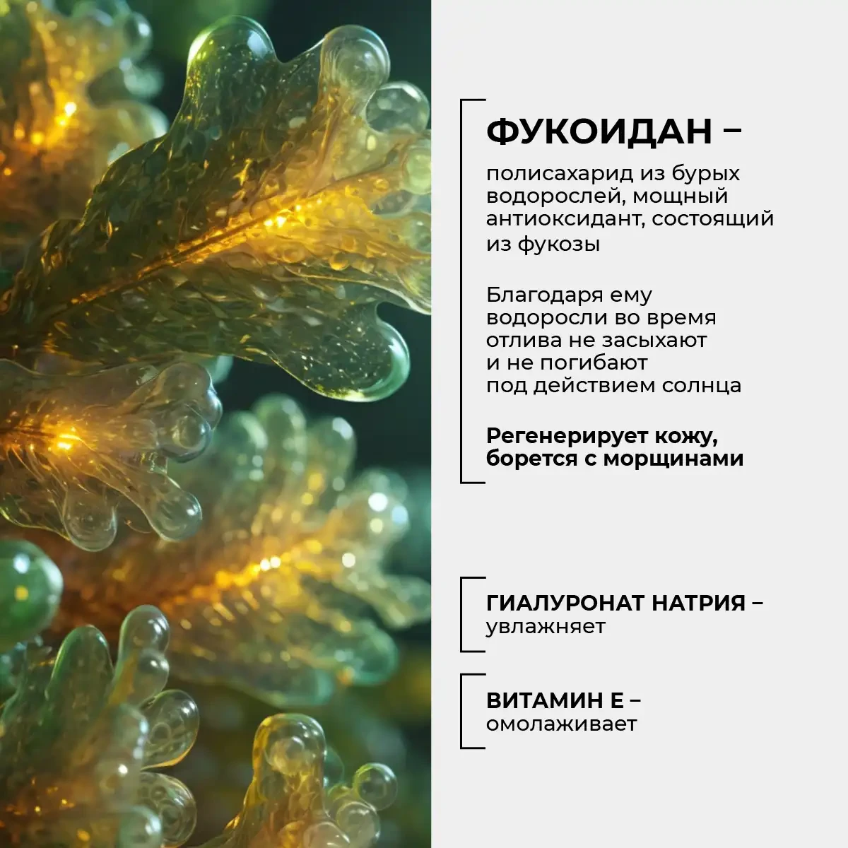 Сс-крем, 40 г 6