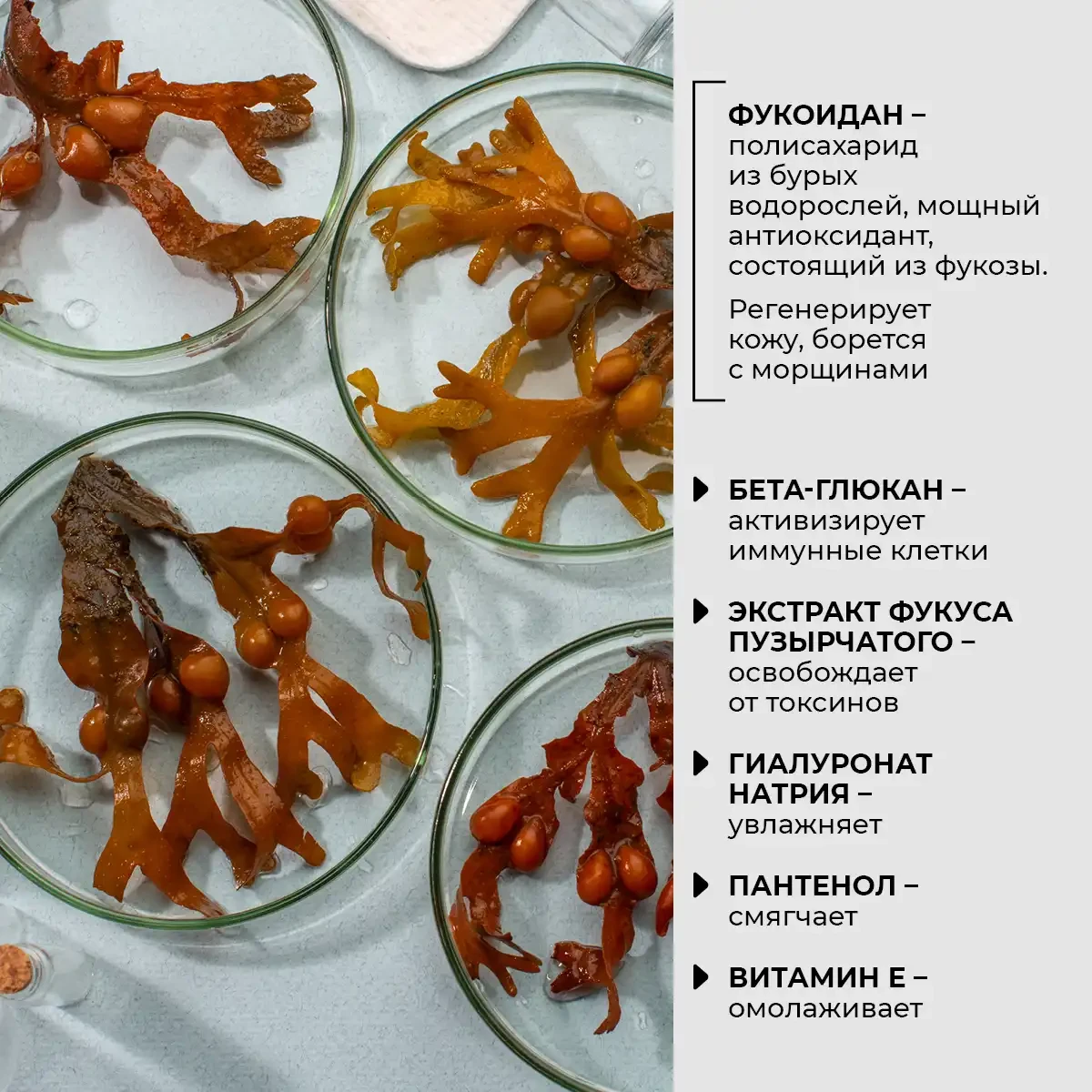 Cremă-mască rejuvenantă pentru față, gât și zona decolteului, 80 g 5