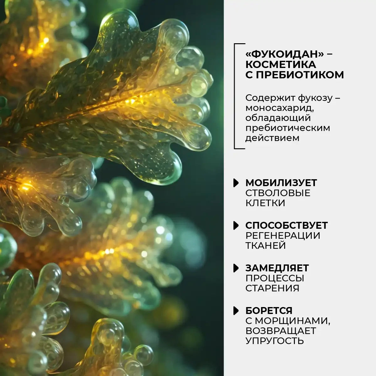 Cremă-mască rejuvenantă pentru față, gât și zona decolteului, 80 g 7