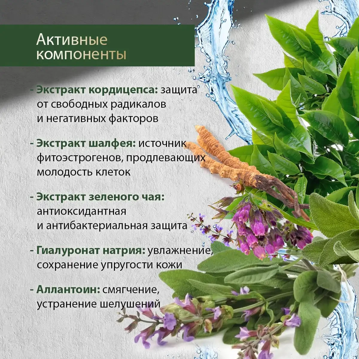 Cremă pentru față cu cordyceps și salvie, 50 g 4