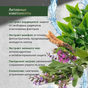 Cremă pentru față cu cordyceps și salvie, 50 g Thumbnail 4