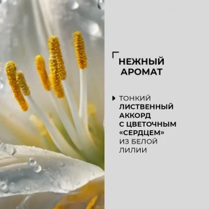 Deodorant spray pentru corp „alunit natural și salvie”, 100 ml Thumbnail 5