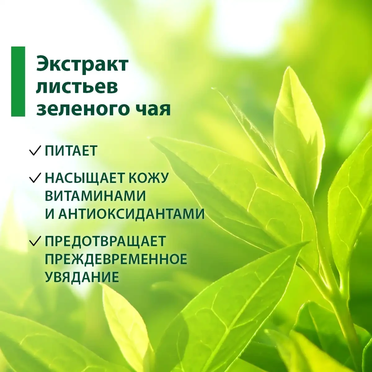 Sare de corp „ceai verde”, 380 g 5