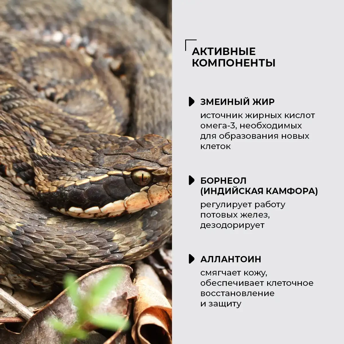 Крем для ног со змеиным жиром, 80 мл 5
