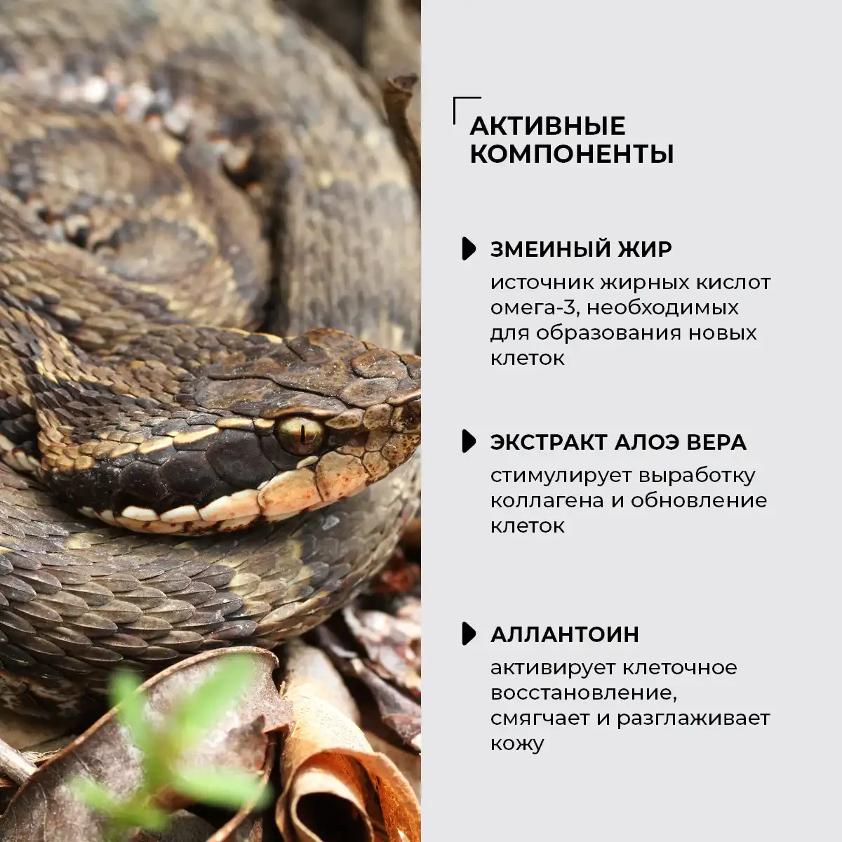 Крем для рук со змеиным жиром, 80 мл 4
