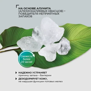 Deodorant pe bază de alunit cu prebiotic „alegerea bărbatului”, prospețime Thumbnail 5