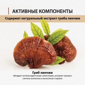 Шампунь укрепляющий корни с экстрактом гриба линчжи, 220 г Thumbnail 4