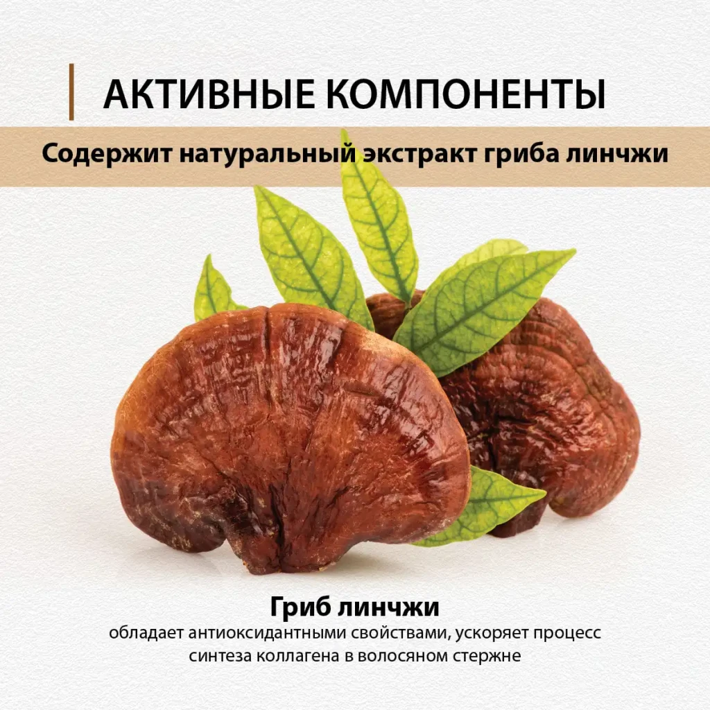 Бальзам для волос укрепляющий корни с экстрактом гриба линчжи, 220 г 4