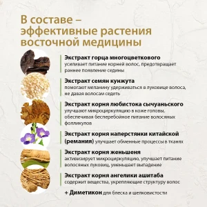 Шампунь от седины, 420 мл Thumbnail 4