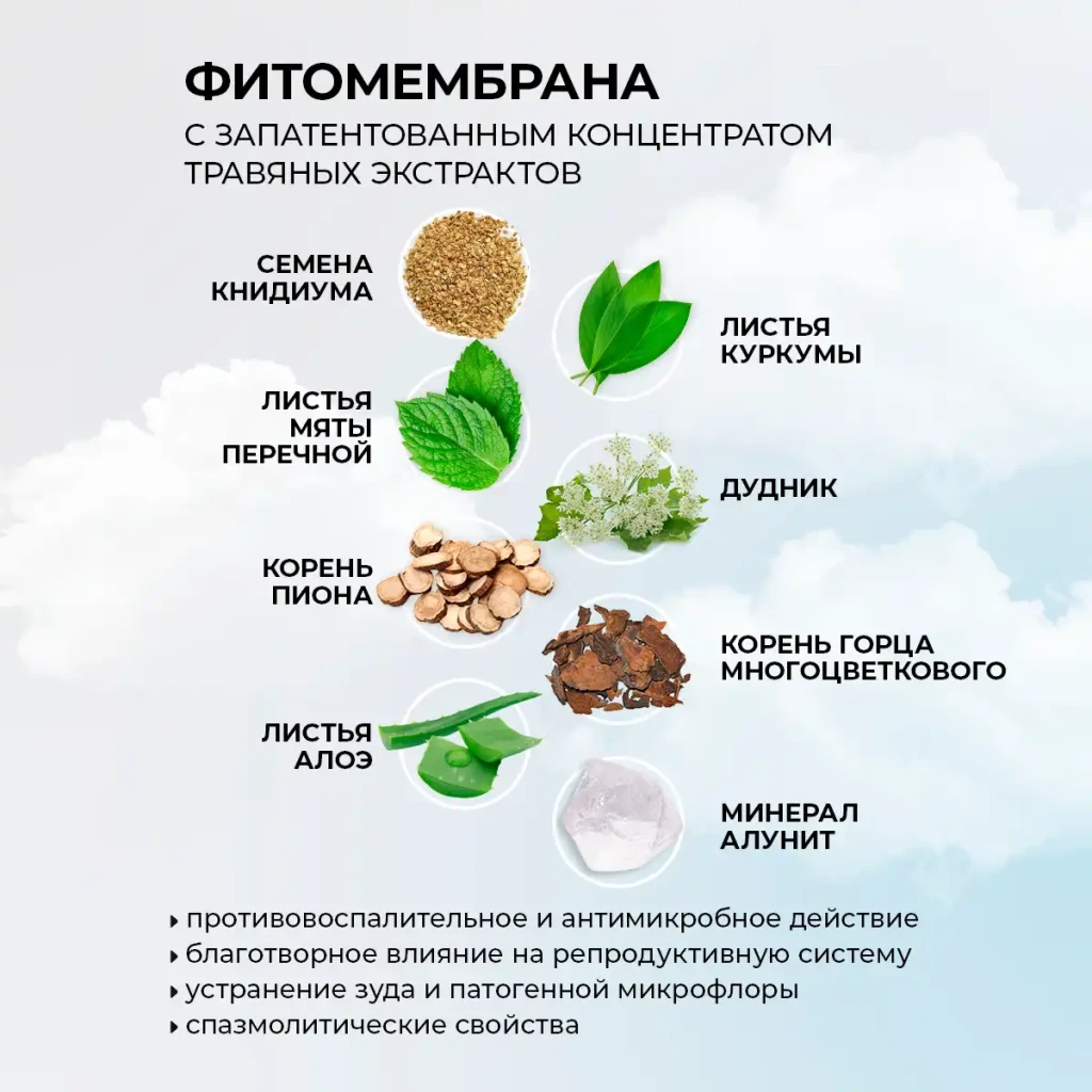 Absorbante zilnice cu fitomembrană „energia plantelor”, 20 buc. 3