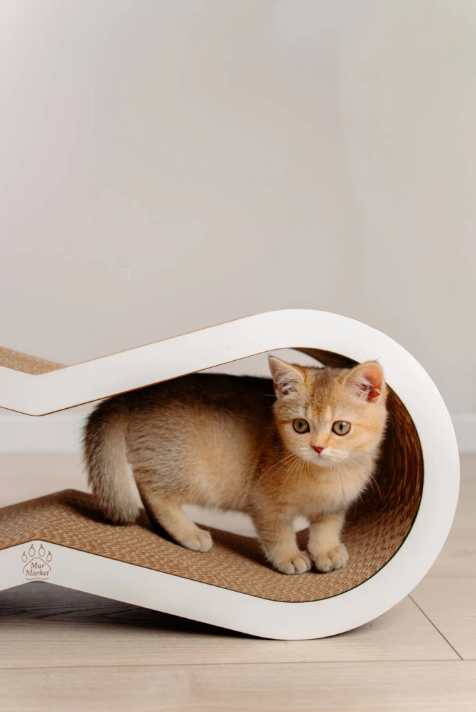Zgârietoare ecologică pentru pisici  tiny tiger m – 66 × 26 × 22 cm 7