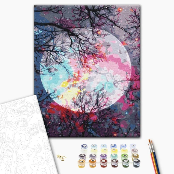 Pictură pe numere 40*50 сm (în cutie) – cu vedere la lună 2