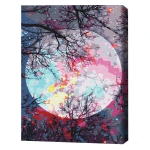 Pictură pe numere 40*50 сm (în cutie) – cu vedere la lună