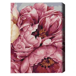 Pictură pe numere - inflorirea bujorilor