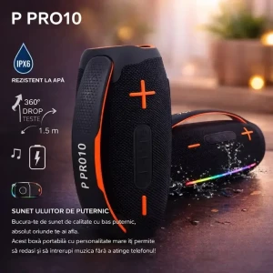 Boxe portabile (ppro10)