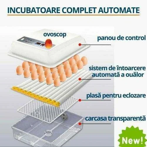 Incubator pentru oua demetra dm-36 4