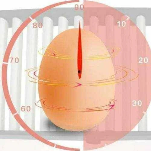Incubator pentru oua demetra dm-36 3