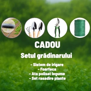 Sera pentru gradina demetra 10 m-3 m-2.25 m Thumbnail 2