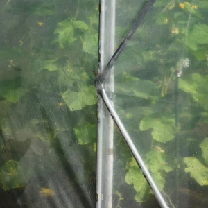 Sera gradina profesionala demetra italia, 27m2, 6-4.5-2.5m Thumbnail 5