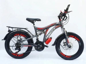 Bicicleta morgan crack 20