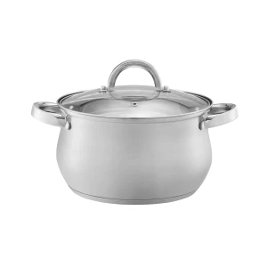Domotti, pot with glass lid, domingo, 22 cm, 5.3 l, stainless steel, tempered glass