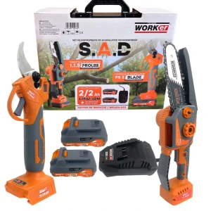 Set instrumente pe acumulator sad 2 buc