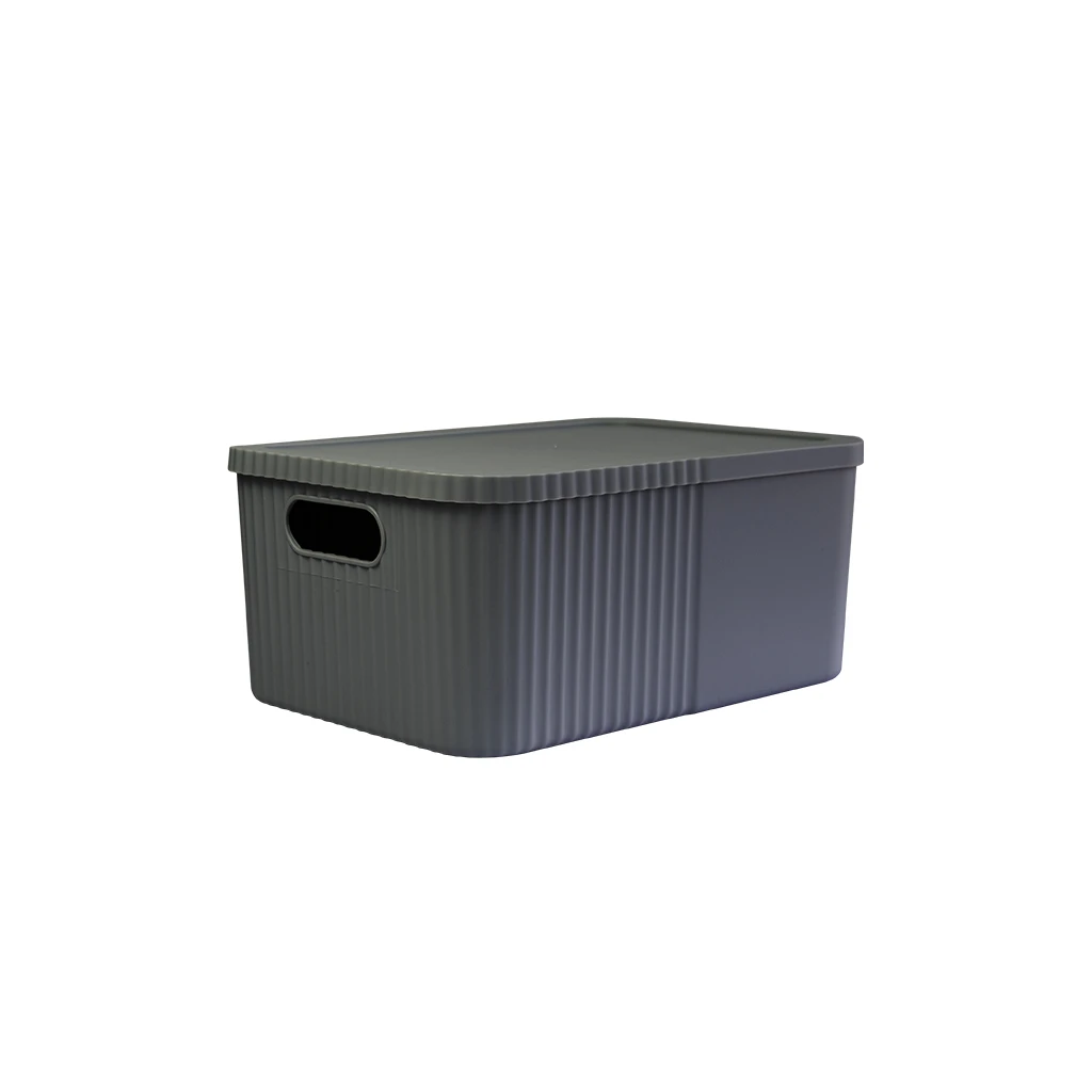 Cutie decobella, cu capac, large, 12 l 5