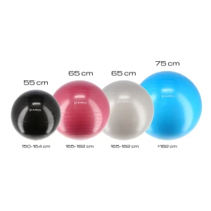 Мяч гимнастический d=55 cm hms с насосом blue yb01 Thumbnail 2