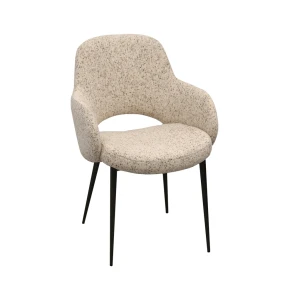 Scaun shila
