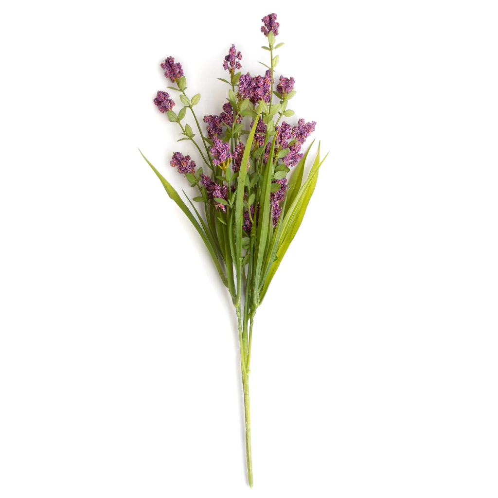 Ramura decorativa levantica 2