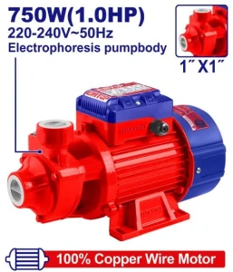 Pompa de apa 750w emtop  promo