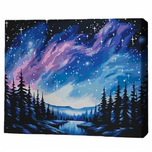 Pictură pe numere 40х50 cm (fără cutie) – noapte înstelată