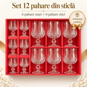 Set pahare și păhărele, 12 buc. 611-12d/801-12 Thumbnail 2
